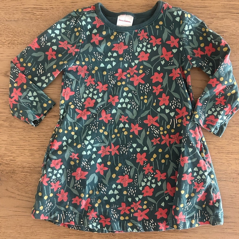 Hanna Andersson Girls A-Line Green Poinsettia Patch Dress 2T